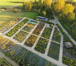 materiał szkółkarski produkcja i dystrybucja Polska fotografia 15